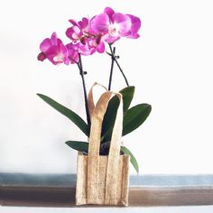 purple flowers in a jute bag on a table