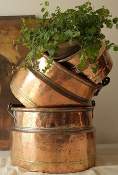 there is a potted plant in the middle of three metal containers that are stacked on top of each other