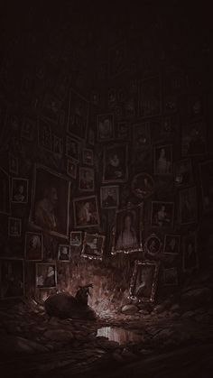 a dark room with many pictures on the wall and a cat sleeping in the middle