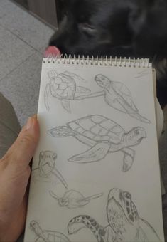 a person holding up a notebook with drawings of sea turtles on it and a dog in the background