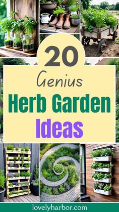 20 genius herb garden ideas that are easy to grow