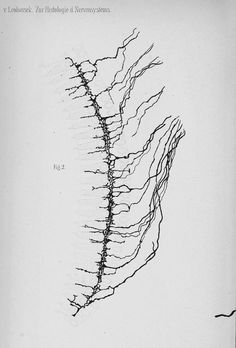 an old book with lines drawn on it