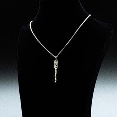 This elegant pendant depicts a bacterial cell. Based on the rod form of prokaryotic cells, the bacterial cell pendant has 3 slender flagella, DNA, and multiple tiny robosomes. A perfect accessory for microbiologists.The pendant is 6 mm (0.24 inches) wide and 3.9 cm (1.5 inches) long below the loop. The pendant is 3D printed in solid sterling silver or 14K gold plated brass, finished with a 45 cm/18 inch long sterling silver or gold plated silver chain*, and is ready for gift giving with a gift b Bacterial Cell, Biology Jewelry, Prokaryotic Cell, Medical Pendant, Elegant Pendant, The Loop, Gold Plated Silver, Silver Chain, Silver Necklace