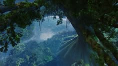 an aerial view of trees in the jungle