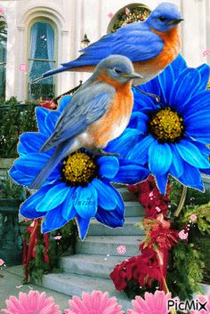 two birds sitting on top of blue flowers