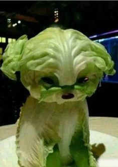 a dog made out of lettuce sitting on top of a table