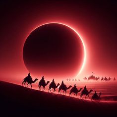 a group of people riding on the backs of camels in front of an eclipse