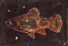 a drawing of a fish on a black background