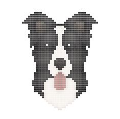 a cross stitch border collie's face is shown in the shape of a dog