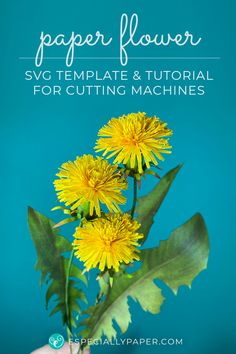 a person holding yellow flowers with text overlay that reads paper flower svg template & video for cutting machines