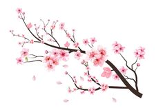 a branch with pink flowers on it and leaves flying in the air, against a white background