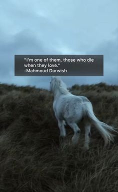 a white horse standing on top of a grass covered hill with a quote above it that says, i'm one of them, those who did die when they love