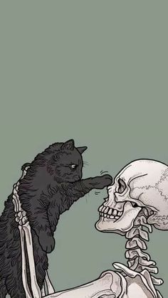 a black cat sitting on top of a skeleton