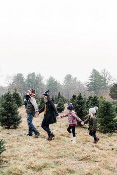 a group of people holding hands and walking through a field full of christmas tree trees