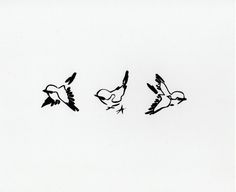 three birds are flying in the sky with one bird on its back and another bird on its side