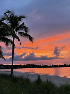 two palm trees on the shore of a lake at sunset with clouds in the sky