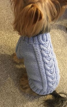 a small dog wearing a blue sweater on the floor with his head in its paws