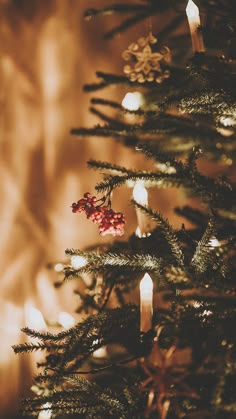 a close up of a christmas tree with candles