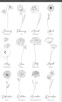 an image of flowers that are in the language of english and french, with different names