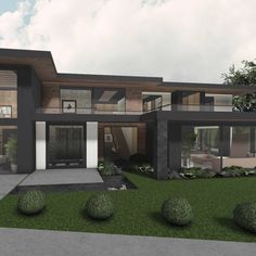 an artist's rendering of a modern house with grass and shrubs in the front yard