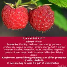 two raspberries hanging from a branch with the words raspberry written below