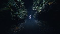 a woman walking down a dark road in the middle of some trees with leaves on them