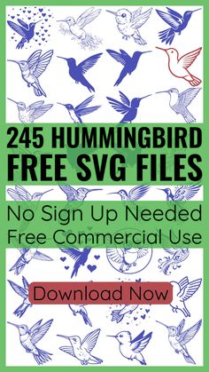 the book cover for 24 hummingbird free svg files no sign up needed to use