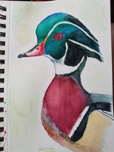 a watercolor drawing of a colorful duck