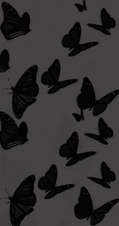 a group of black butterflies flying in the dark sky with no one on it's wings