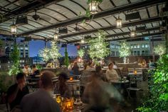 people are sitting at tables in an outdoor dining area with plants and lights on the ceiling