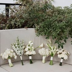 the bridal bouquets are lined up on the bench