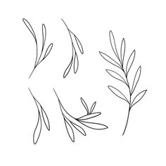 three different types of leaves on a white background