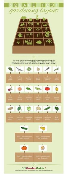 the square foot gardening layout is shown in this image, it shows different types of vegetables and