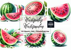 watermelon clipart set with different slices and leaves