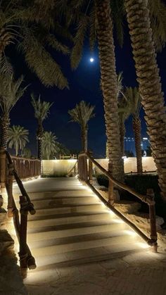 the stairs are lit up with lights and palm trees