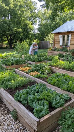 Homesteading Today Growing A Garden For Beginners, Home Grown Food, Homesteading Aesthetic, Homestead Aesthetic, Professor Sprout, Beginner Garden, Homesteading For Beginners, Suburban Homestead, Homestead Lifestyle