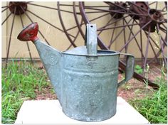 an old metal watering can sitting in the grass