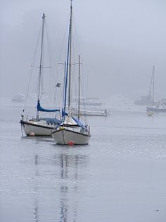 several sailboats floating in the water on a foggy day