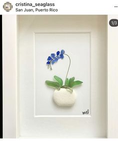 a white frame holding a blue flower in it's center and the words cristina seaglass san juan, puerto rico