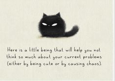 there is a little being that will help you not think so much about your current problems either by being cute or causing chaos