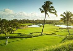 a golf course with palm trees and water in the background, surrounded by lush green grass