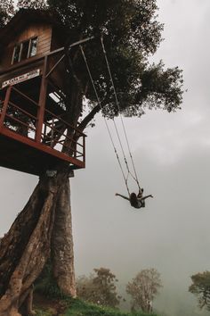 a person is swinging from a high tree house in the middle of a foggy forest