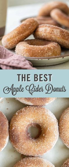 the best apple cider donuts are on display