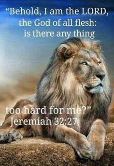 a lion sitting on top of a rock with the words, behold i am the lord,