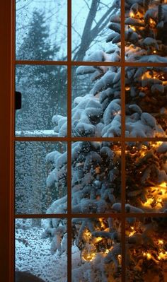 a snowy tree is seen through an open window