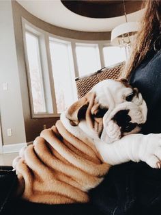 a woman is holding a large brown and white dog on her lap while sitting in a chair