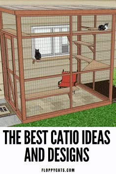 the best catio ideas and designs for small houses with cats in them are easy to make