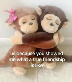 two stuffed monkeys hugging each other with the caption, us because you showed me what a true friend is like