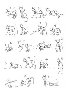 some drawings of cats that are in different positions and sizes, including one cat with its tail