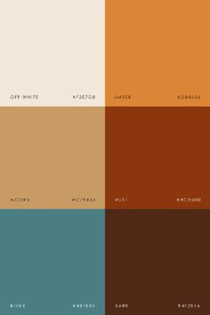 different shades of brown, orange and blue in the same color scheme for paint swatches